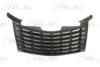 CHRYS 1ORH78DX8AD Radiator Grille
